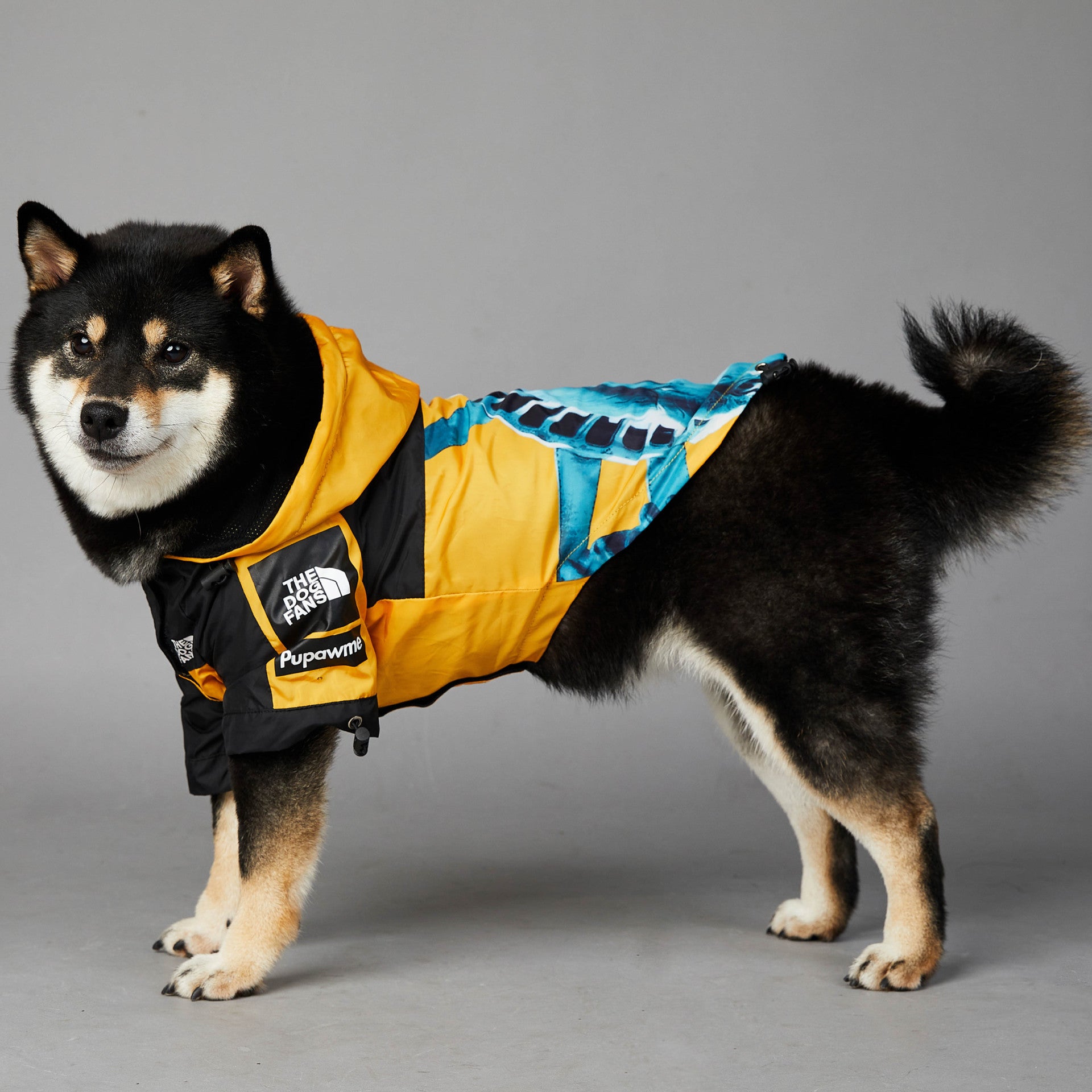 The Dog Face Regenjacke in 4 verschiedenen Varianten
